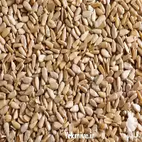 فروش مغز تخمه آفتابگردان در سنندج در گروه خرید و فروش انواع تخمه در یکمیوه