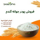 فروش پودر جوانه گندم فروش روغن در ری  در گروه خرید و فروش ادویه در یکمیوه