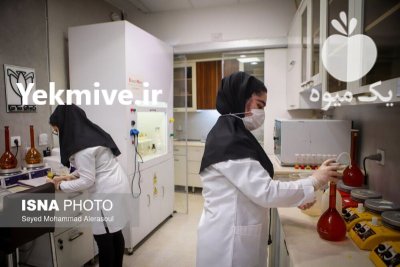 فروش انواع کشمش و زعفران در مشهد در گروه خرید و فروش آجیل در یکمیوه -عکس1