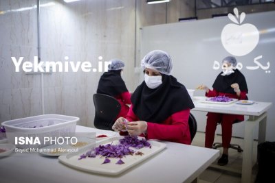 فروش انواع کشمش و زعفران در مشهد در گروه خرید و فروش آجیل در یکمیوه -عکس2