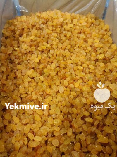 فروش انواع کشمش و زعفران در مشهد در گروه خرید و فروش آجیل در یکمیوه -عکس3