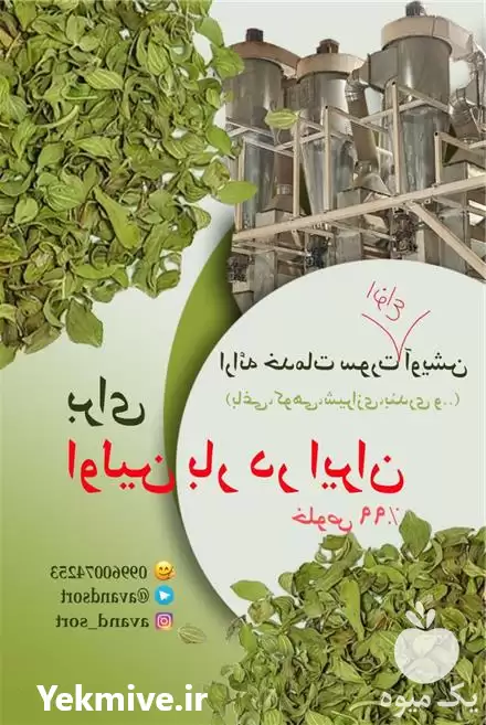 خدمات سورت بسته بندی گیاهان در تهران در گروه سورتینگ در یکمیوه -عکس1