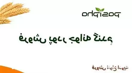 پودر جوانه گندم فروش روغن جوانه در تهران در گروه خرید و فروش انواع روغن در یکمیوه -عکس1