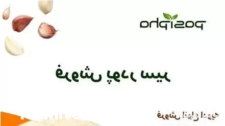 فروش پودر سیر و روغن سیر در تهران در گروه خرید و فروش انواع روغن در یکمیوه -عکس1