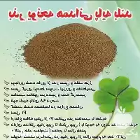 فروش بذر یونجه همدانی پایه بلند در گروه خرید و فروش بذر یونجه در یکمیوه