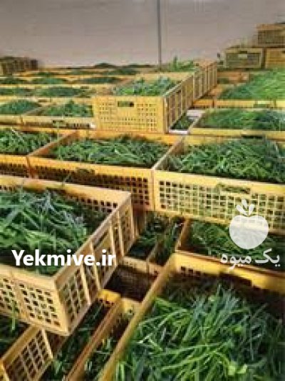 انواع سبزی خشک در اصفهان در گروه خرید و فروش انواع سبزی ها در یکمیوه -عکس1