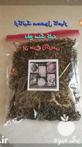 فروش بوسور زاگرس بنسرخ بختیاری در گروه خرید و فروش گیاهان دارویی در یکمیوه -عکس1