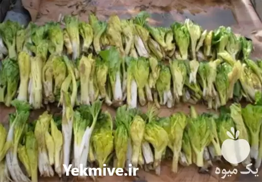 قیمت خرید کرفس کوهی در تهران در گروه خرید و فروش گیاهان دارویی در یکمیوه -عکس1