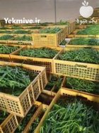 انواع سبزی خشک در اصفهان در گروه خرید و فروش انواع سبزی ها در یکمیوه