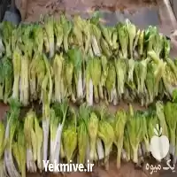 قیمت خرید کرفس کوهی در تهران در گروه خرید و فروش گیاهان دارویی در یکمیوه