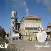 قیمت برنج سادات در ساری در گروه خرید و فروش برنج در یکمیوه