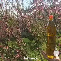 قیمت خرید زیتون و روغن زیتون در گروه خرید و فروش انواع روغن در یکمیوه