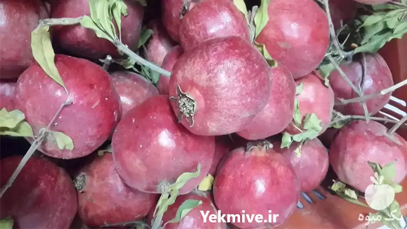 قیمت خرید انار و رب در شیراز در گروه خرید و فروش رب در یکمیوه -عکس1