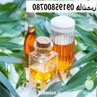 فروش روغن اکالیپتوس در تهران در گروه خرید و فروش انواع روغن در یکمیوه