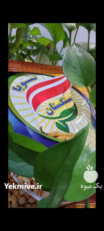 سویا سنگستان در تهران در گروه خرید و فروش سویا در یکمیوه -عکس3