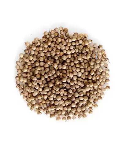 قیمت خرید تخم گشنیز درجه یک در تهران در گروه خرید و فروش گیاهان دارویی در یکمیوه -عکس1