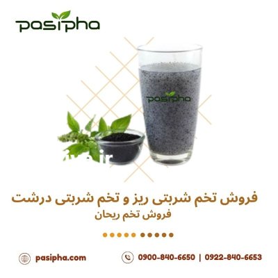 فروش تخم شربتی فروش تخم ریحان در تهران در گروه خرید و فروش گیاهان دارویی در یکمیوه -عکس1