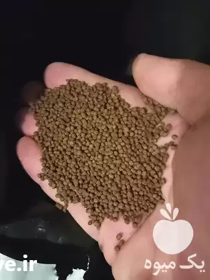 فروش شرکت پخش غذای کامل مخصوص در مشهد در گروه خرید و فروش ماهی کوی در یکمیوه -عکس1