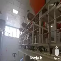 فروش عمده انواع روغن های گیاهی در تهران در گروه خرید و فروش انواع روغن در یکمیوه