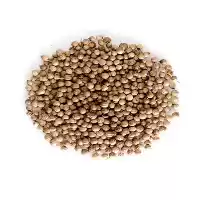 قیمت خرید تخم گشنیز درجه یک در تهران در گروه خرید و فروش گیاهان دارویی در یکمیوه