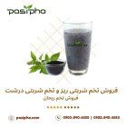 فروش تخم شربتی فروش تخم ریحان در تهران در گروه خرید و فروش گیاهان دارویی در یکمیوه