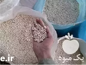 قیمت خرید عمده حبوبات در شیراز در گروه خرید و فروش غلات و حبوبات در یکمیوه -عکس1