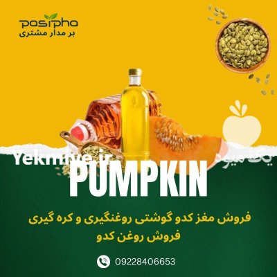 فروش مغز کدو روغنگیری مغز کدو در گروه خرید و فروش انواع روغن در یکمیوه -عکس1