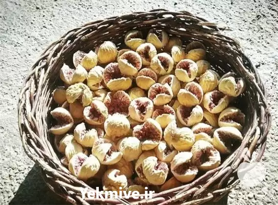 فروش ویژه انجیر به صورت عمده در شیراز در گروه خرید و فروش انجیر در یکمیوه -عکس1