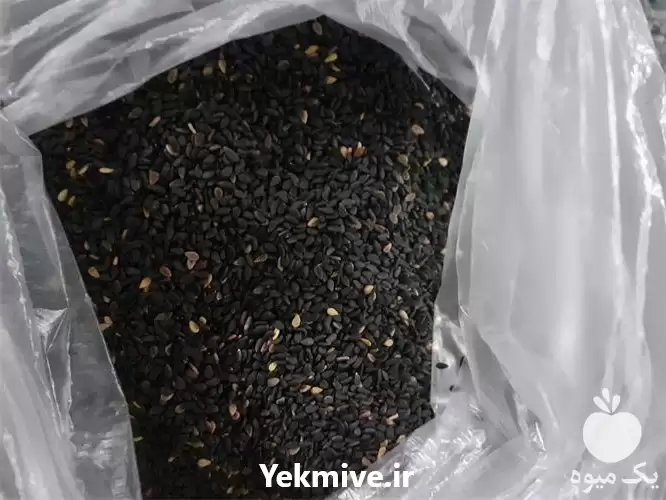 فروش کنجد بوجاری شده در سنندج در گروه خرید و فروش دانه های روغنی در یکمیوه -عکس1