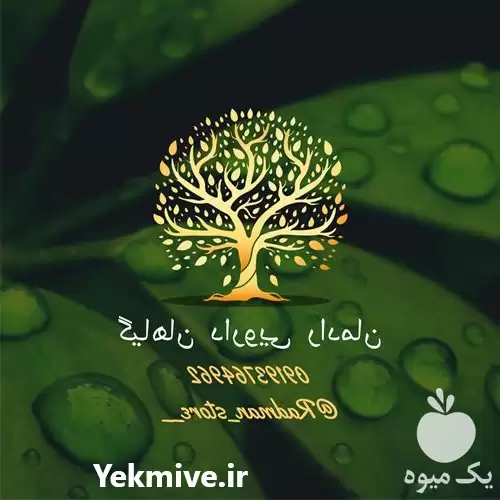 فروش گیاهان دارویی رادمان در تهران در گروه خرید و فروش گیاهان دارویی در یکمیوه -عکس1