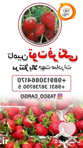 قیمت خرید توت فرنگی در تناژ در اصفهان در گروه خرید و فروش توت فرنگی در یکمیوه -عکس1