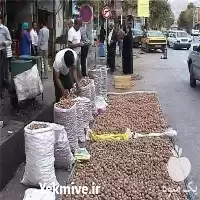 فروش گردو الشتر در گروه خرید و فروش گردو در یکمیوه