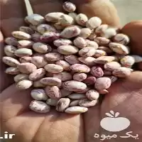 فروش حبوبات لوبیا چیتی و قرمز در اصفهان در گروه خرید و فروش غلات و حبوبات در یکمیوه