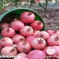 انار درجه یک صادراتی انار صادراتی در تهران در گروه خرید و فروش انار در یکمیوه