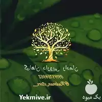 فروش گیاهان دارویی رادمان در تهران در گروه خرید و فروش گیاهان دارویی در یکمیوه