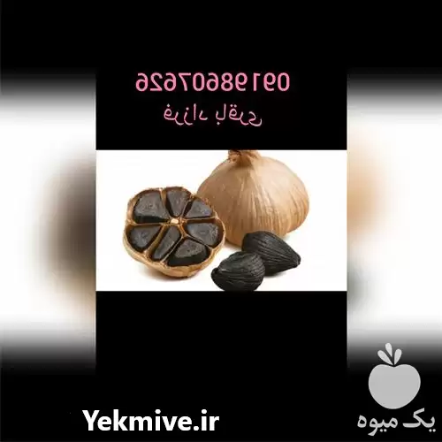 قیمت خرید سیر سیاه دکتر بیز در شیراز در گروه خرید و فروش سیر در یکمیوه -عکس1