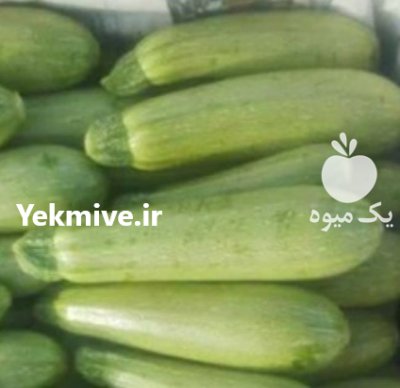 کدو سبز فروش کدو سبز در تبریز در گروه خرید و فروش کدو در یکمیوه -عکس1