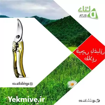 فروش قیچی باغبانی طلایی در ماهدشت در گروه خرید و فروش لوازم باغبانی در یکمیوه -عکس1