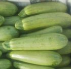 کدو سبز فروش کدو سبز در تبریز در گروه خرید و فروش کدو در یکمیوه