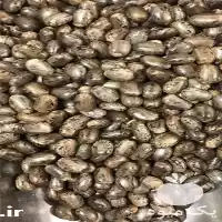 فروش پخش روغن کرچک دانه کرچک در تهران در گروه خرید و فروش انواع روغن در یکمیوه