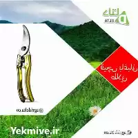 فروش قیچی باغبانی طلایی در ماهدشت در گروه خرید و فروش لوازم باغبانی در یکمیوه