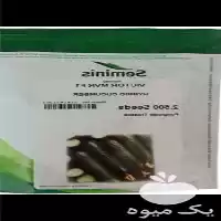 قیمت خرید بذر خیار ویکتور در ساری در گروه خرید و فروش بذر خیار در یکمیوه