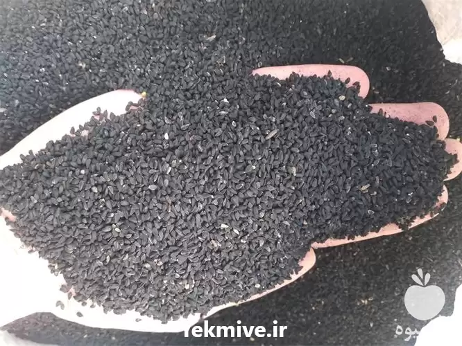 فروش سیاهدانه بوجار و لیزر در تهران در گروه خرید و فروش گیاهان دارویی در یکمیوه -عکس1