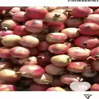 فروش انار شیرین گل با کیفیت در گروه خرید و فروش انار در یکمیوه