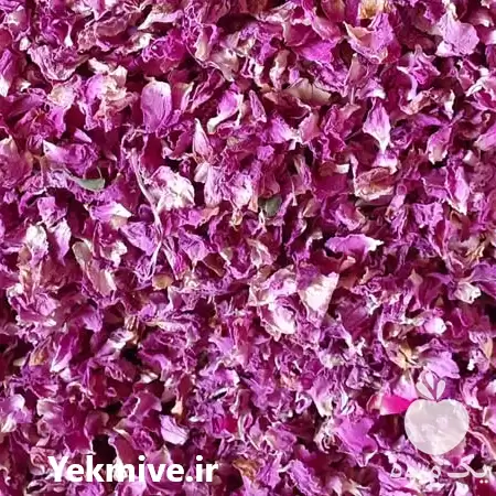 قیمت خرید عرضه کننده گل محمدی در اسلامشهر در گروه خرید و فروش گیاهان دارویی در یکمیوه -عکس1