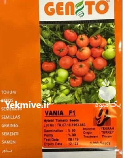 بذر گوجه فرنگی وانیا در چهارباغ در گروه خرید و فروش بذر گوجه در یکمیوه -عکس1