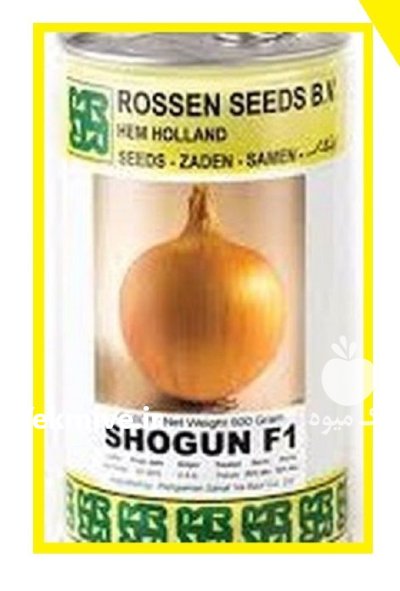 فروش بذر پیاز شوگان فلات در گروه خرید و فروش بذر پیاز در یکمیوه -عکس1