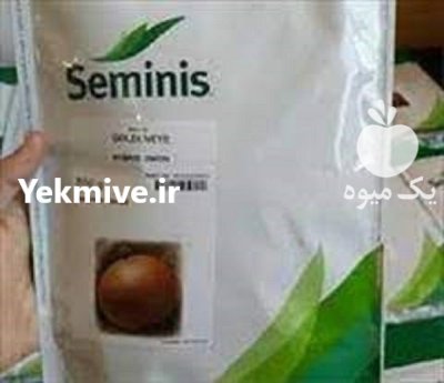 بذر پیاز طلایی گلدن ای در گروه خرید و فروش بذر پیاز در یکمیوه -عکس1