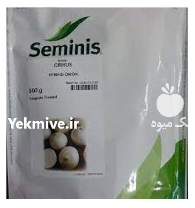 قیمت بذر پیاز سیروس در آواجیق در گروه خرید و فروش بذر پیاز در یکمیوه -عکس1