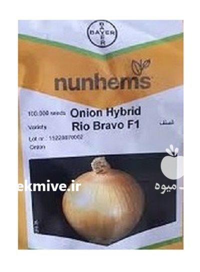 بذر پیاز ریو براوو در دوگنبدان در گروه خرید و فروش بذر پیاز در یکمیوه -عکس1